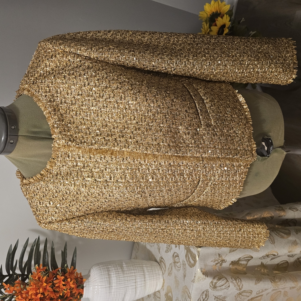 NWOT Women's  Express Metallic Tweed Fringe Trim Jacket SZ M - Picture 6 of 16